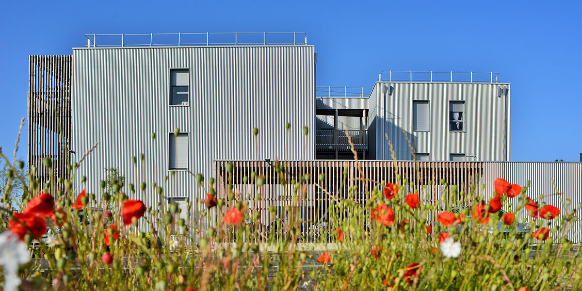 La Touche | Franck Hamon