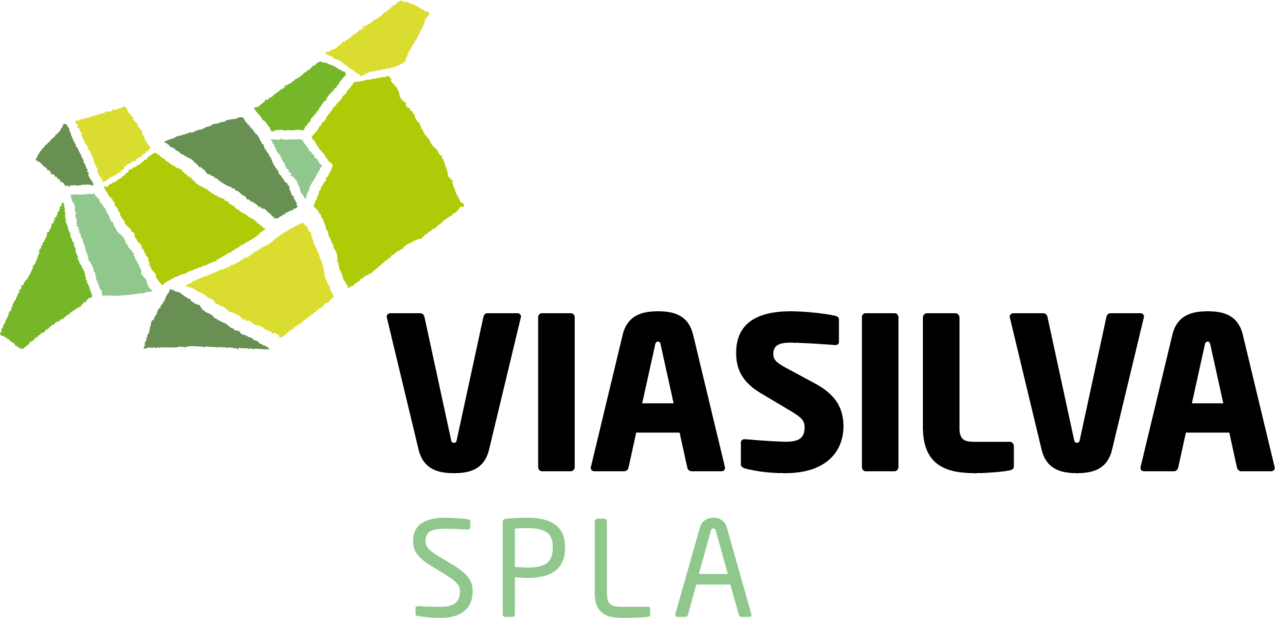 Logo SPLA ViaSilva
