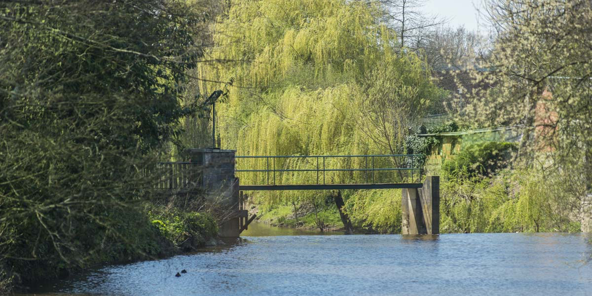 Noyal-Châtillon-sur-seiche / Vue rivière / Territoires-Rennes