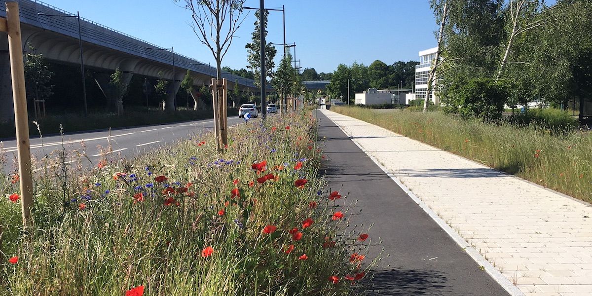 Boulevard des allies - Piste cyclable - Projet Territoires-Rennes