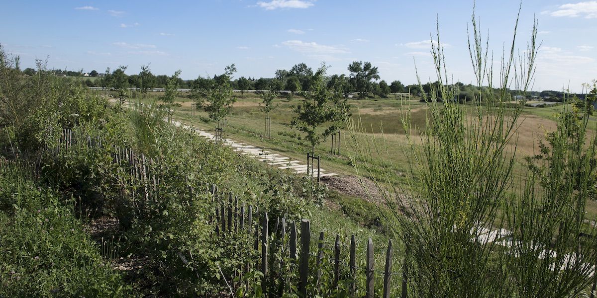 ZAC Les Cormiers - Vue lande - Projet Territoires-Rennes