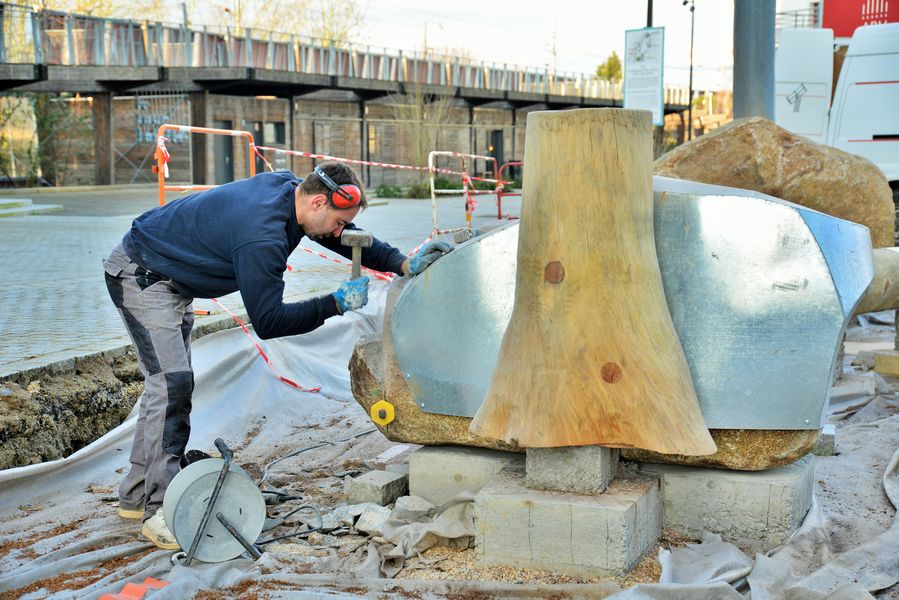 chantier arbre au rocher