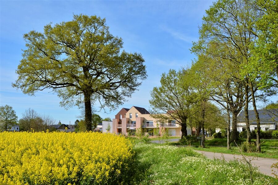 Nouvoitou Quartiers de la Lande 2024