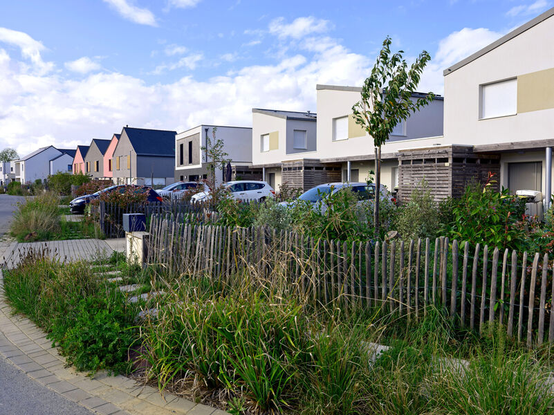 Laillé - La Touche - Tranche 1 - Boulevard de la Seiche - Maisons en accession aidée