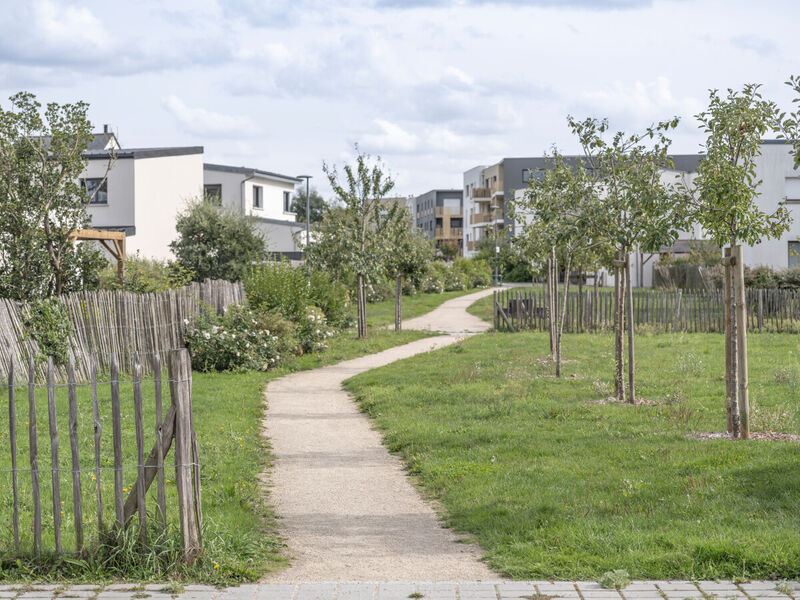 Le Rheu - Quartiers de La Trémelière - Ilot jardin 2