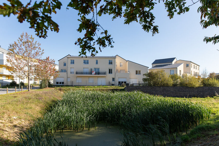 Centre aux mares noires