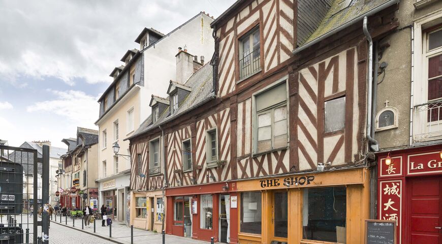 sauvetage centre ancien documentaire vidéo 2021