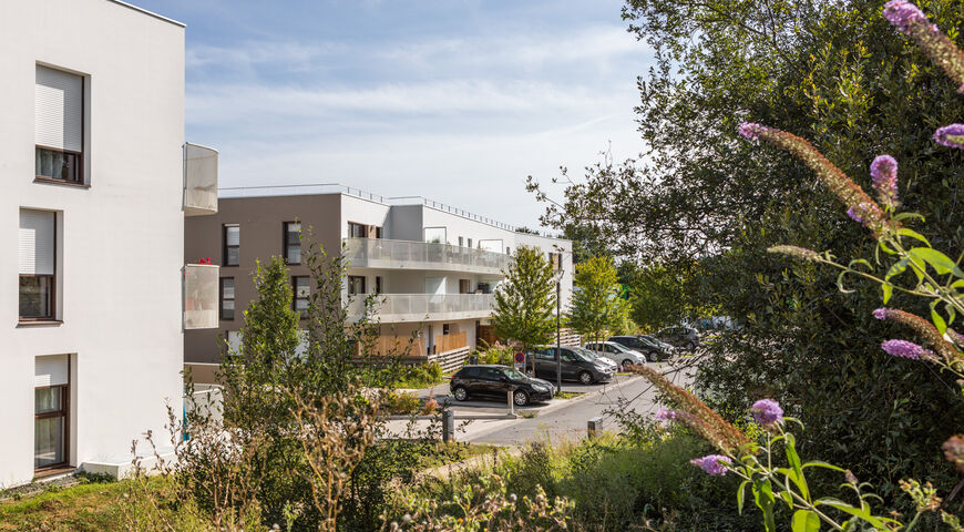 les champs bleus à vezin