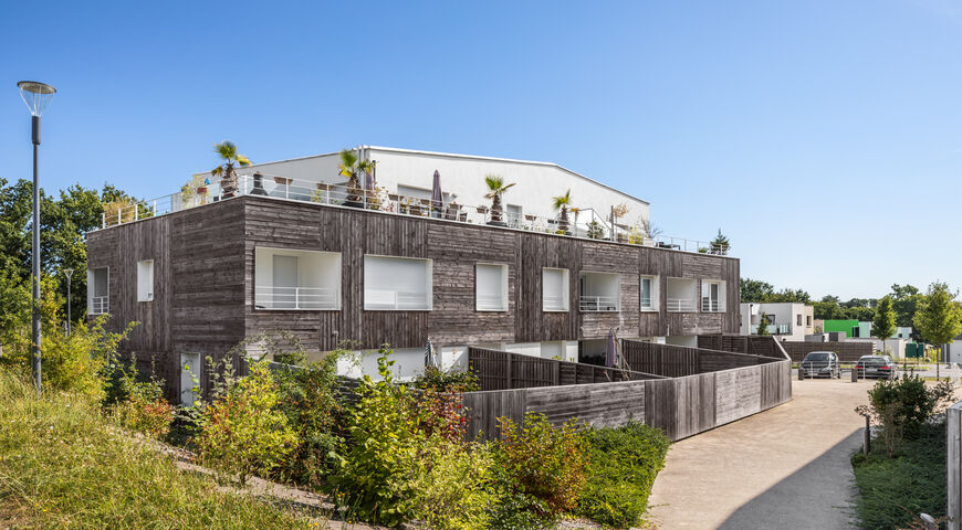 collectif ecoquartier les champs bleus vezin