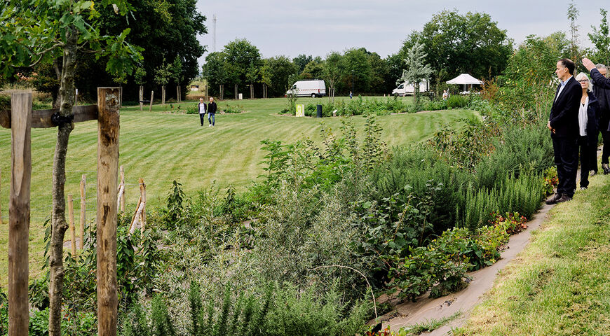 Parc du Lindon à L'Hermitage