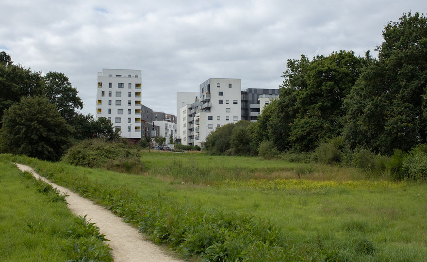 Beauregard, secteur parc champêtre et agriculture urbaine - Matthieu Chanel, 2020